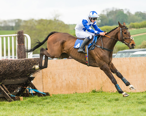 Race 2 - Young Horse Maiden  (66 of 100)
