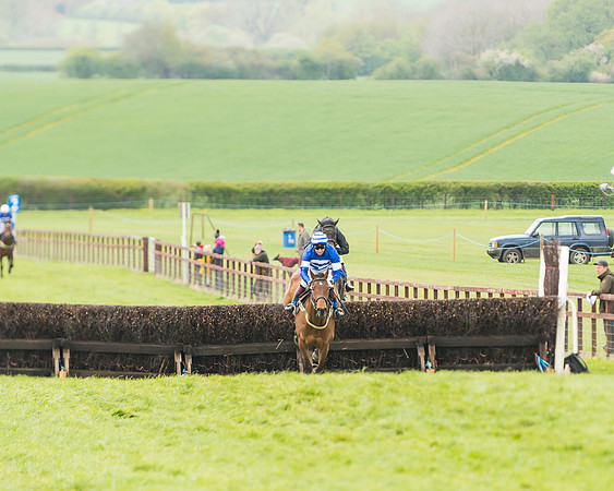 Race 2 - Young Horse Maiden  (68 of 100)