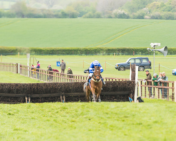 Race 2 - Young Horse Maiden  (69 of 100)