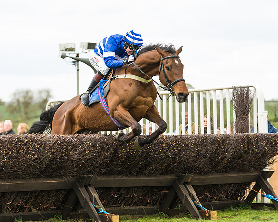 Race 2 - Young Horse Maiden  (73 of 100)