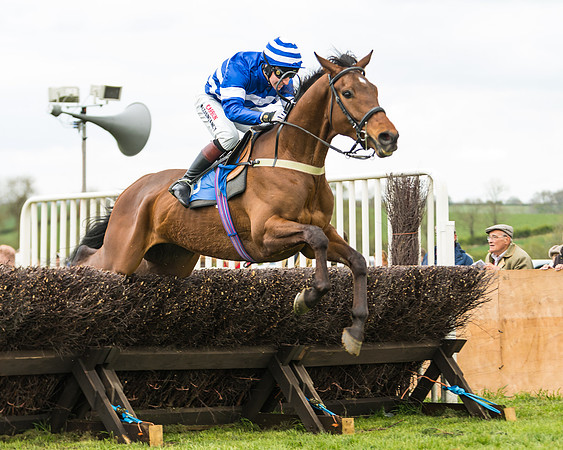 Race 2 - Young Horse Maiden  (74 of 100)