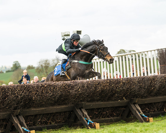 Race 2 - Young Horse Maiden  (76 of 100)