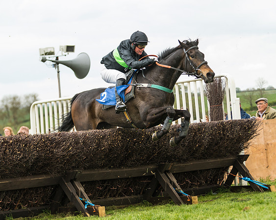 Race 2 - Young Horse Maiden  (78 of 100)