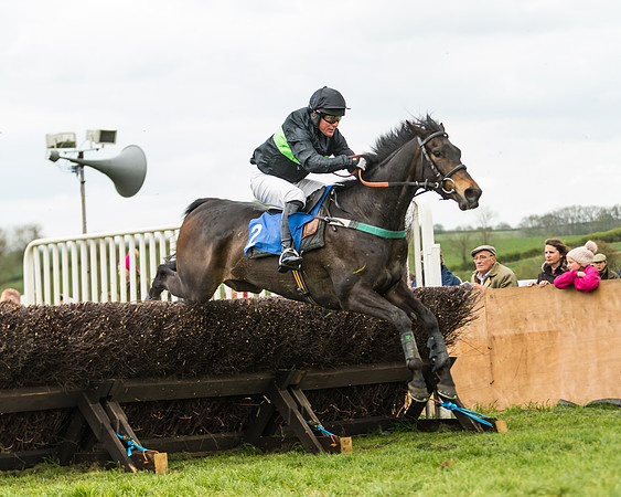 Race 2 - Young Horse Maiden  (79 of 100)