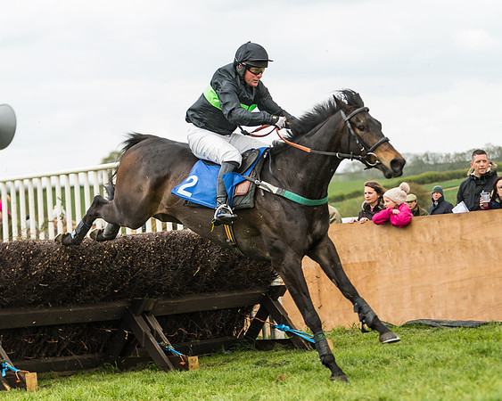 Race 2 - Young Horse Maiden  (80 of 100)