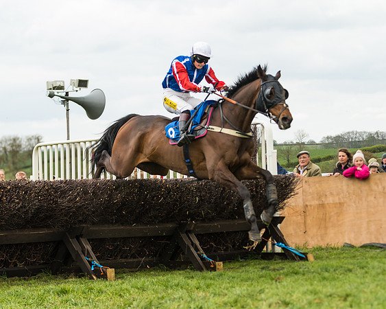 Race 2 - Young Horse Maiden  (83 of 100)