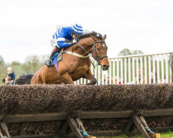 Race 2 - Young Horse Maiden  (72 of 100)