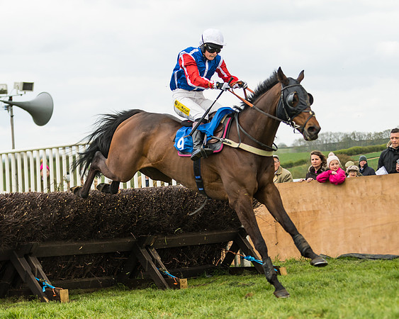 Race 2 - Young Horse Maiden  (84 of 100)