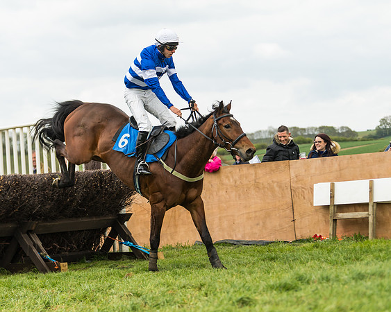 Race 2 - Young Horse Maiden  (87 of 100)