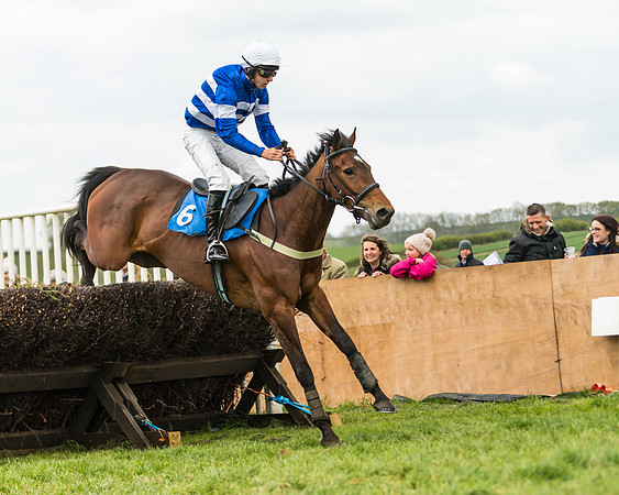 Race 2 - Young Horse Maiden  (86 of 100)