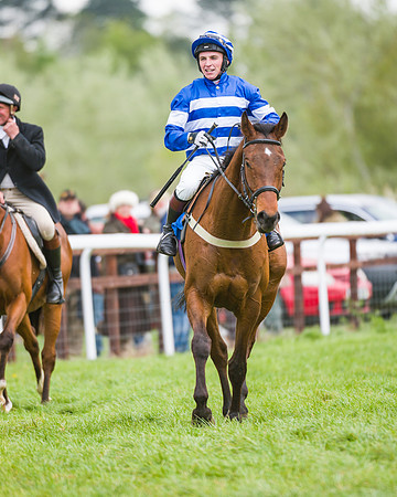 Race 2 - Young Horse Maiden  (91 of 100)