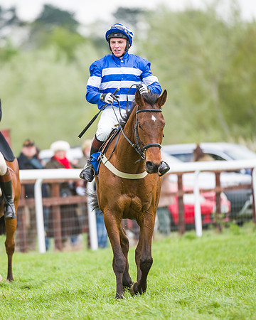 Race 2 - Young Horse Maiden  (92 of 100)