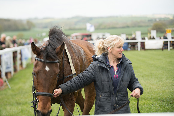 Race 2 - Young Horse Maiden  (95 of 100)