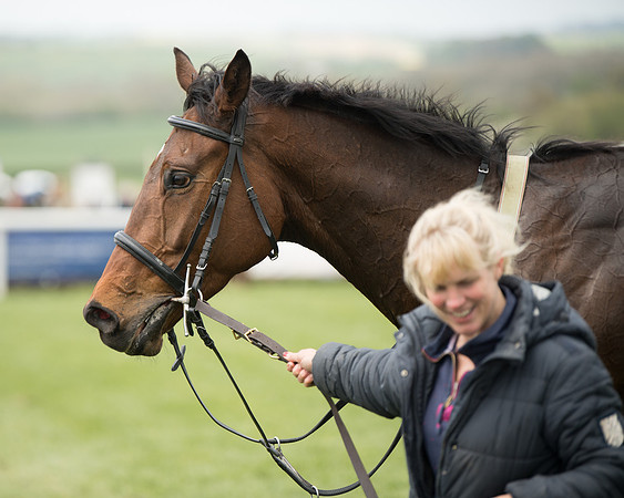 Race 2 - Young Horse Maiden  (96 of 100)