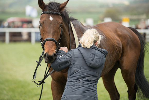 Race 2 - Young Horse Maiden  (97 of 100)