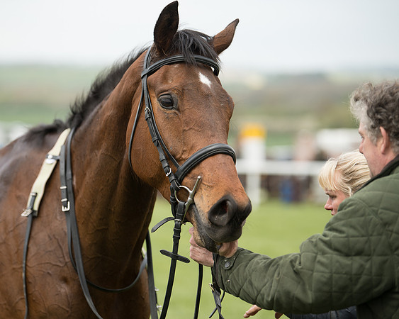 Race 2 - Young Horse Maiden  (98 of 100)