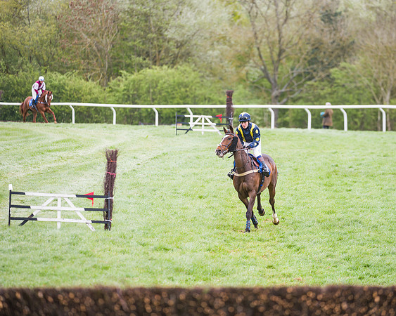 Race 3 - Ladies Open (2 of 72)