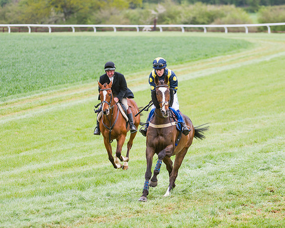 Race 3 - Ladies Open (3 of 72)