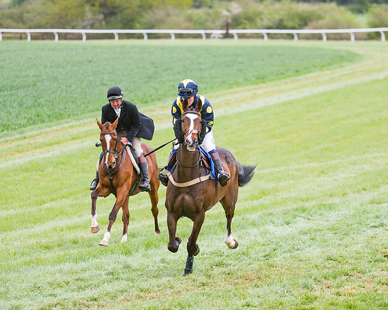 Race 3 - Ladies Open (4 of 72)