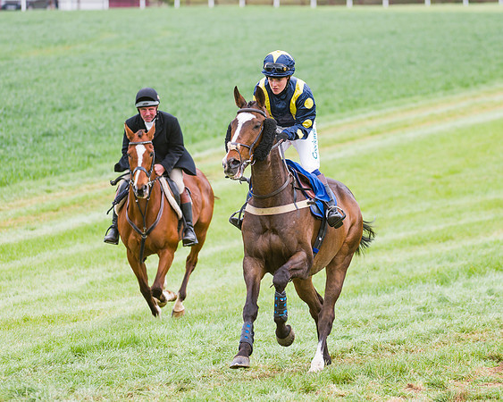 Race 3 - Ladies Open (5 of 72)
