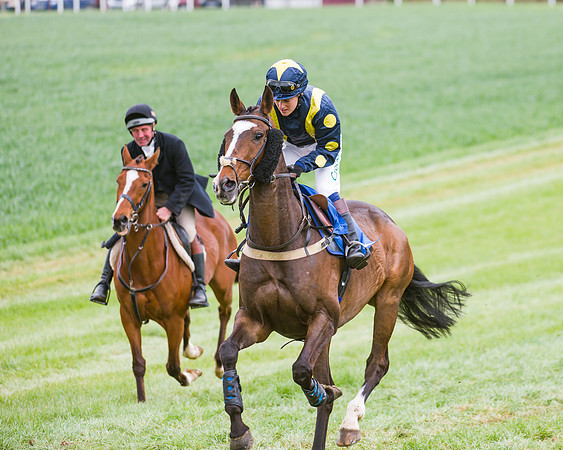 Race 3 - Ladies Open (7 of 72)
