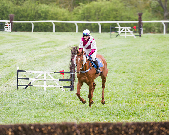Race 3 - Ladies Open (8 of 72)