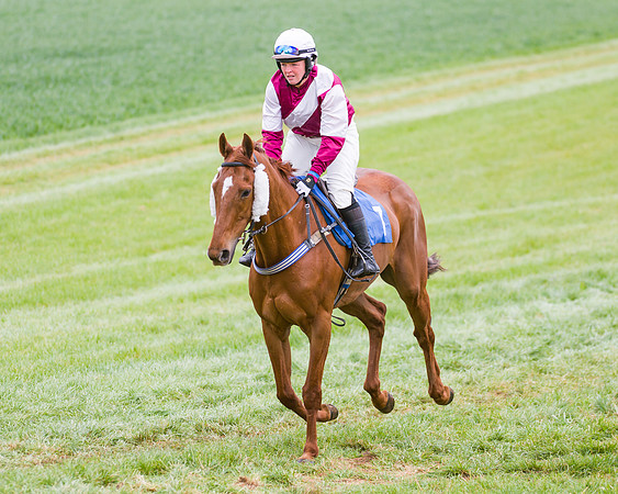 Race 3 - Ladies Open (10 of 72)