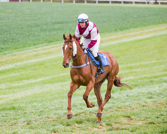 Race 3 - Ladies Open (11 of 72)