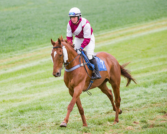 Race 3 - Ladies Open (12 of 72)