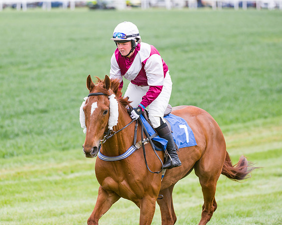 Race 3 - Ladies Open (13 of 72)