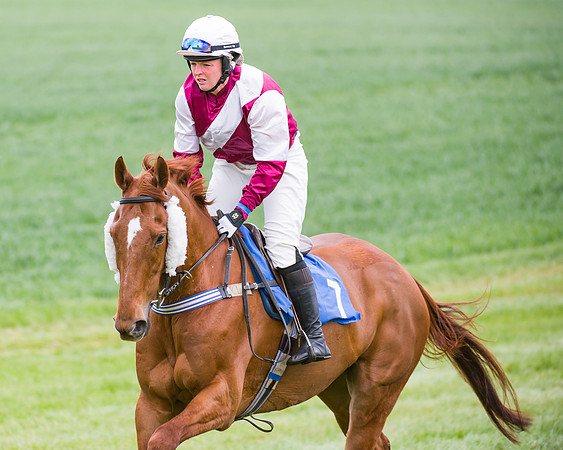 Race 3 - Ladies Open (14 of 72)