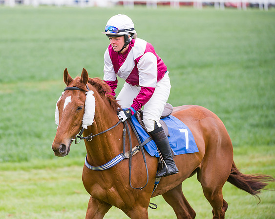 Race 3 - Ladies Open (15 of 72)