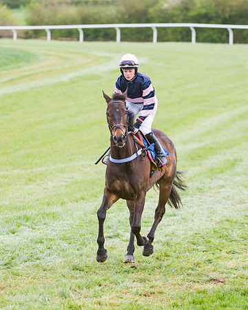 Race 3 - Ladies Open (20 of 72)