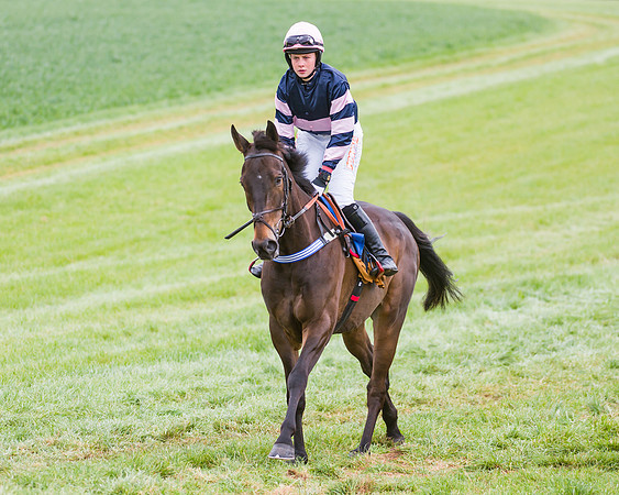 Race 3 - Ladies Open (22 of 72)