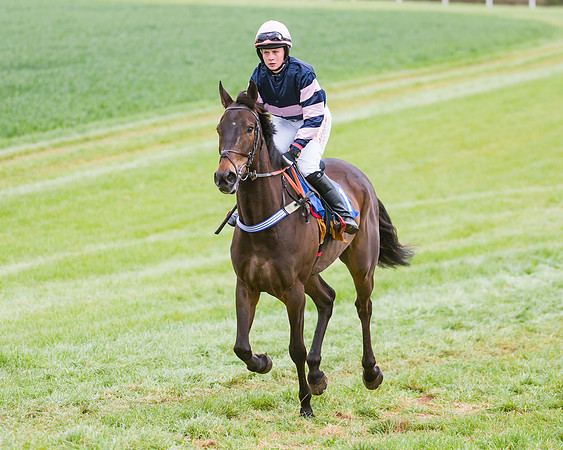 Race 3 - Ladies Open (23 of 72)