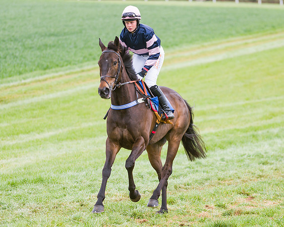 Race 3 - Ladies Open (24 of 72)