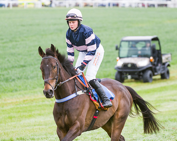 Race 3 - Ladies Open (27 of 72)