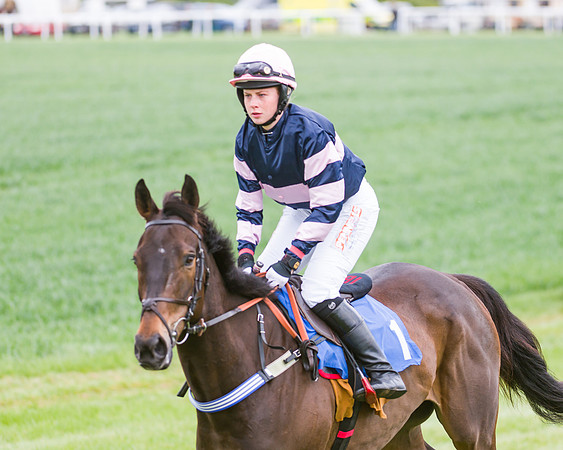 Race 3 - Ladies Open (28 of 72)