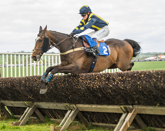 Race 3 - Ladies Open (43 of 72)