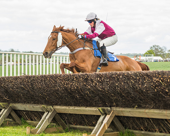 Race 3 - Ladies Open (47 of 72)