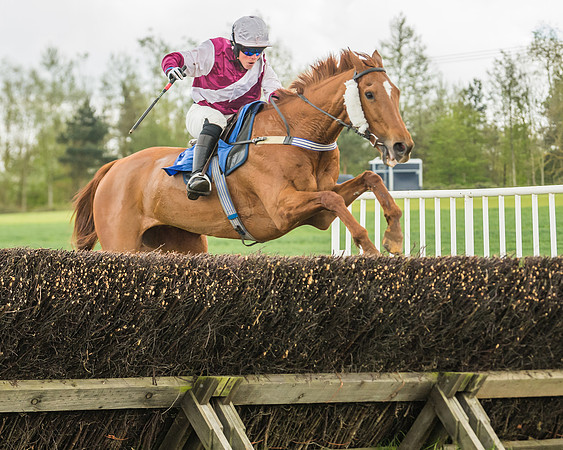 Race 3 - Ladies Open (62 of 72)