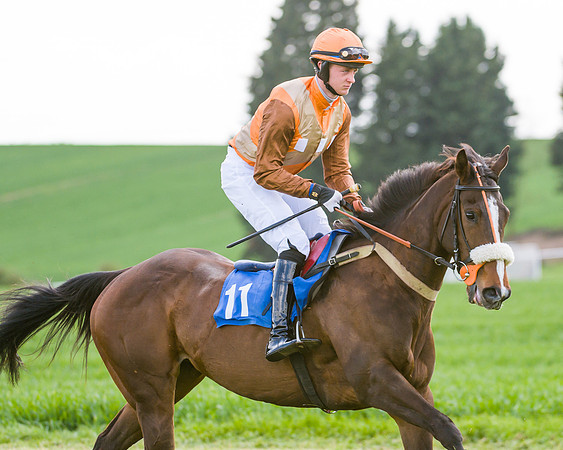 Race 5 - Intermediate (11 of 69)