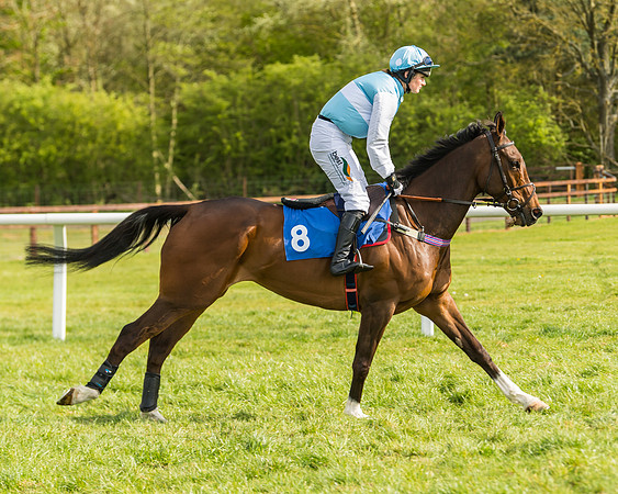 Race 6 - Conditions 8s and over (23 of 52)