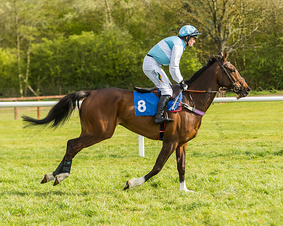 Race 6 - Conditions 8s and over (24 of 52)