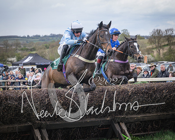 Race 2 - Tattersalls Cheltenham 4 year old Maiden (20 of 85)