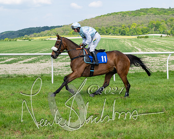 Race 3 - Ladies Open  (60 of 133)