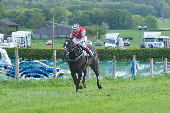 Pony Race 2 - 15