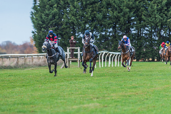 2 Mile 4 Furlong Maiden Race -25