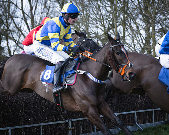 Race 2 - Jullou De Grissay - James King (8 of 17)