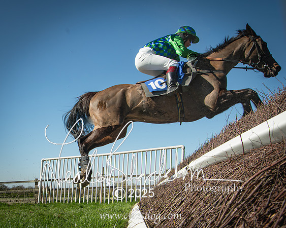 Race 5 - The restricted (92 of 113)